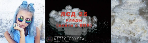 дурь Богданович